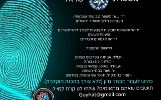 מעבדות מז"פ