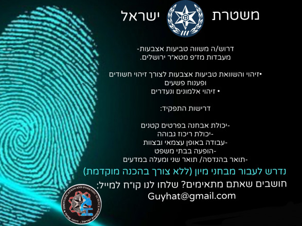 מעבדות מז"פ